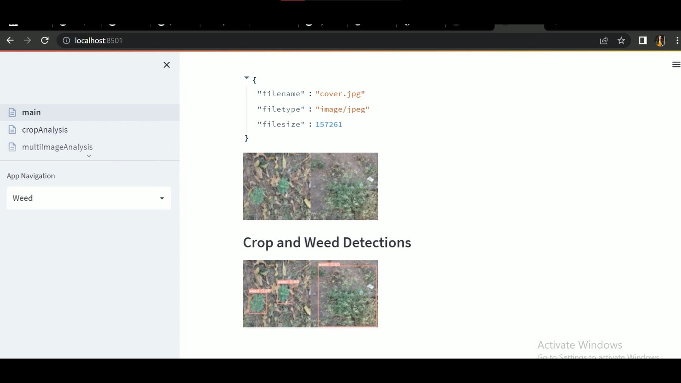 Deep Learning Approach For High Energy Efficient Real-Time Detection Of Weeds In Organic Farming